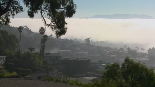 Niebla rueda en los vecinos de California — Vídeos de Stock