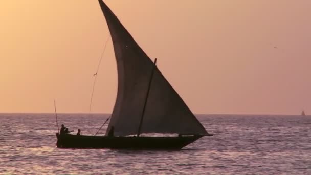 Veleiro velas ao pôr do sol — Vídeo de Stock