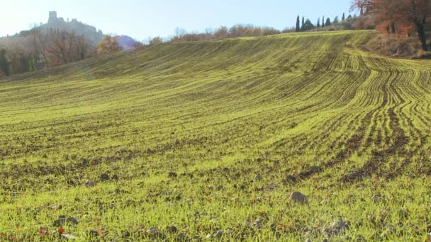 Italienska landsbygden med slott — Stockvideo