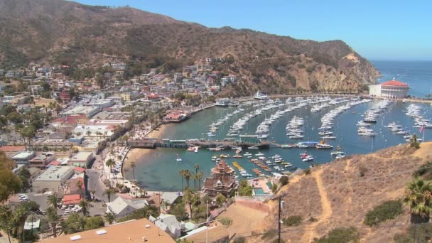 Stad van Avalon op catalina Island — Stockvideo