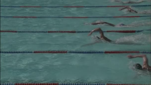 Nadadores carrera a través de una piscina — Vídeo de stock