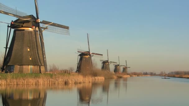 Windmills line up — Stock Video