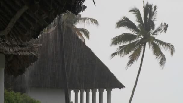 La lluvia cae pesadamente en una playa tropical — Vídeos de Stock