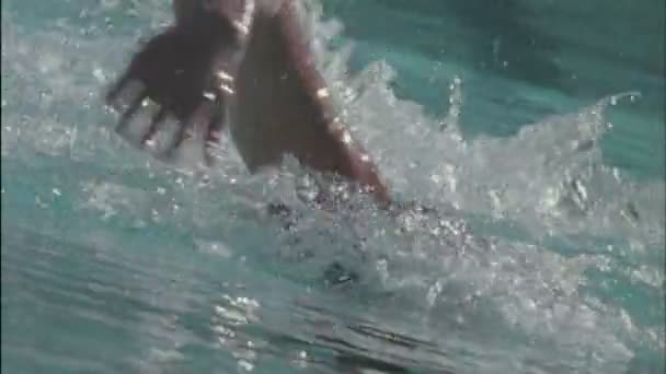 Un homme nageant dans la piscine — Video