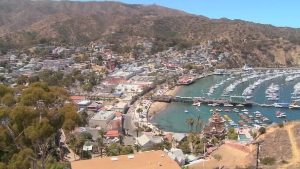 Stad van Avalon op catalina Island — Stockvideo