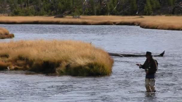 Pêcheur jette sa ligne — Video