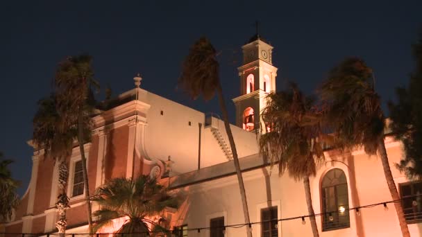 Mosquée avec des palmiers soufflant — Video