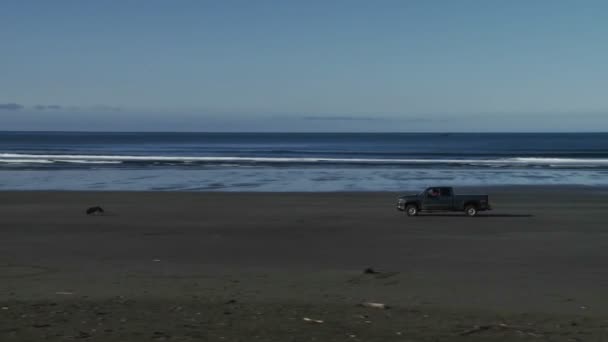 Auto rijdt op Zeekust — Stockvideo