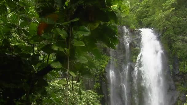 Тропический водопад на Гавайях — стоковое видео