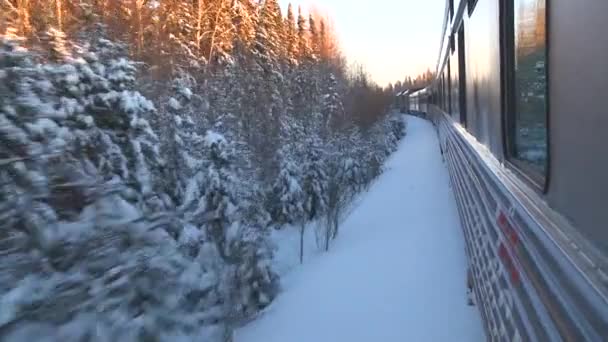 Trein doorsnijdt het Noordpoolgebied Canada — Stockvideo