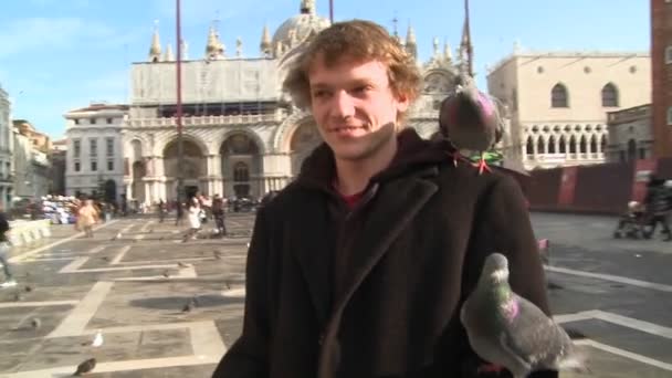 Люди кормят голубей на площади Святого Марка — стоковое видео