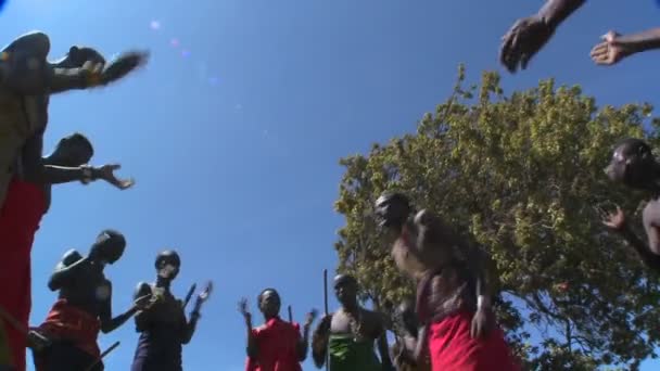Masajští bojovníci provést rituální tanec — Stock video
