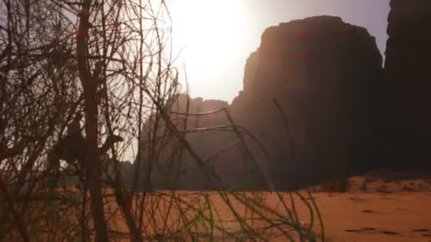 Поезд на верблюдах с водителем движется по пустыне — стоковое видео