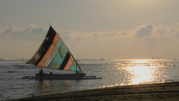 Een vissersboot catamaran — Stockvideo