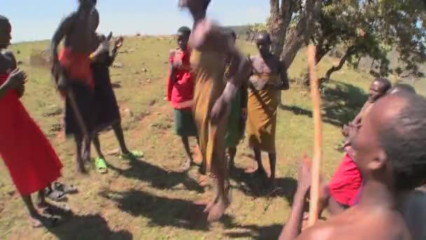 Masai savaşçıları törensel bir dans gerçekleştirmek — Stok video