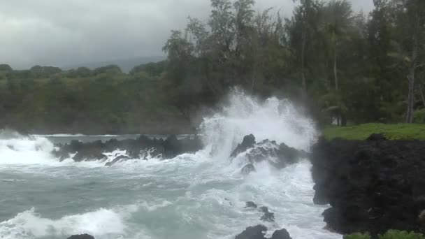 Battitori tempesta Hawaii con onde — Video Stock