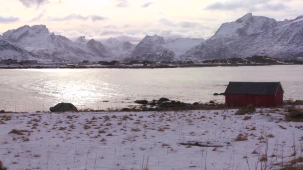 北極圏のロフォーテン諸島の湾に座っている小屋 — ストック動画