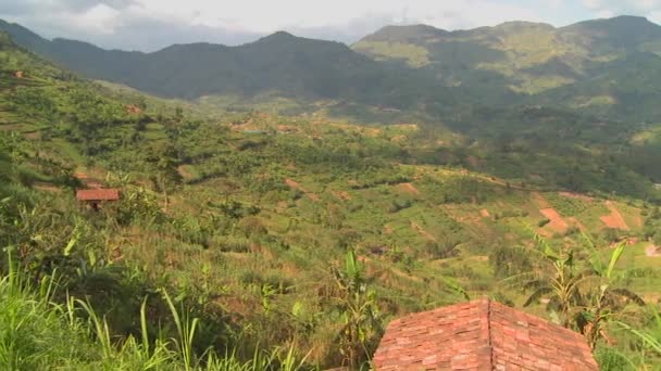 Üppige tropische Landschaft Ruandas — Stockvideo