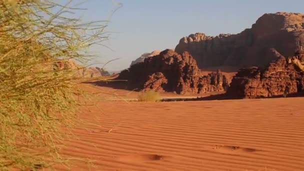 Camel trem com motorista se move através do deserto — Vídeo de Stock