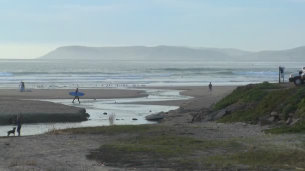 Un surfista cruza un estuario — Vídeo de stock