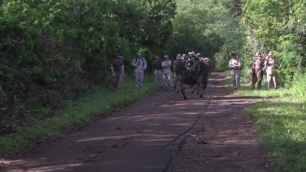 Роботизированный мул продемонстрирован армией США — стоковое видео