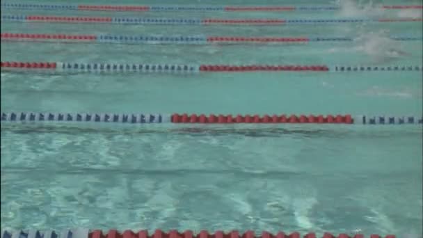 Os nadadores correm através de uma piscina — Vídeo de Stock