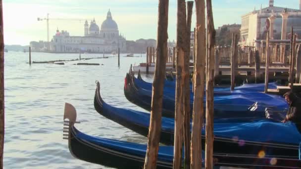 Gondolas line a canal in Venice — Stock Video