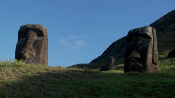 Kamenné sochy na Velikonočním ostrově. — Stock video