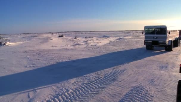 Crawler tundra buggy moves across the frozen expanse — Stock Video