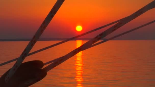 En kroatisk solnedgång genom raderna — Stockvideo