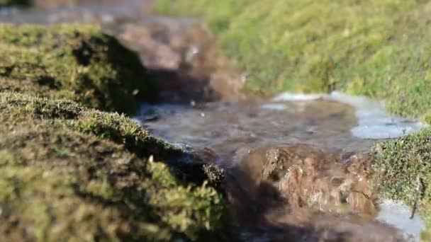 Пузырьковый ручей в американской деревне — стоковое видео