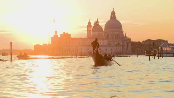 Uma gôndola remada por um gondoleiro em Veneza — Vídeo de Stock