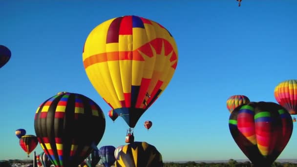 Albuquerque ballong festival — Stockvideo