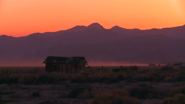 Pôr-do-sol atrás da cabana no deserto — Vídeo de Stock