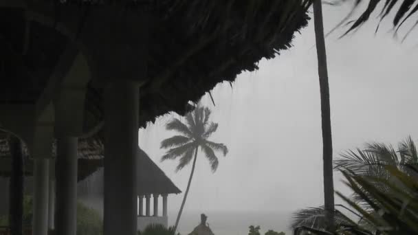 Rain pours down on beach — Stock Video