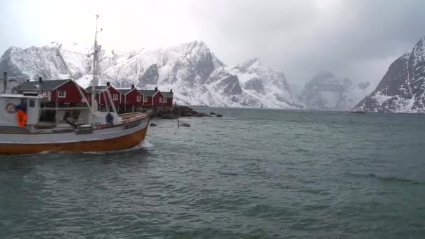 Cabanes de pêche se tiennent en rangées — Video