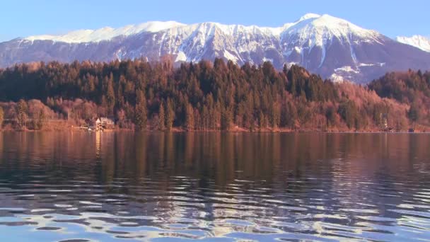 Stranden av sjön Bled, Slovenien — Stockvideo