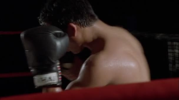 Muž boxy s trenérem — Stock video