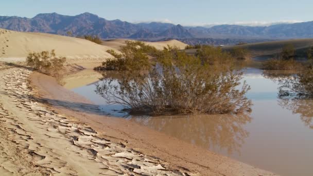 Un oasis en el Parque Nacional Death Valley — Vídeos de Stock