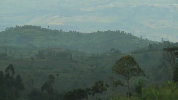 Virunga volcano chain on the Rwanda Congo border — Stock Video