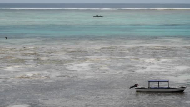 Barcos e pescadores na baía — Vídeo de Stock