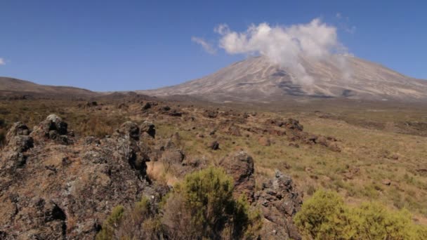 Kilimanjaro met trekker wandelen — Stockvideo