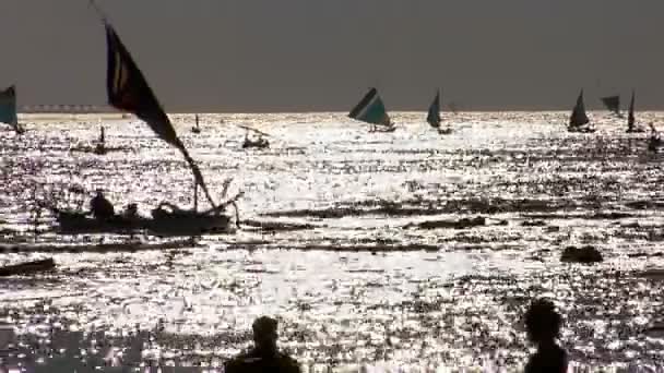 Numerosos pequenos barcos — Vídeo de Stock