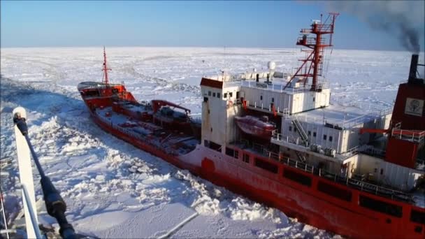 Obchodní loď uvězněna v ledu. — Stock video