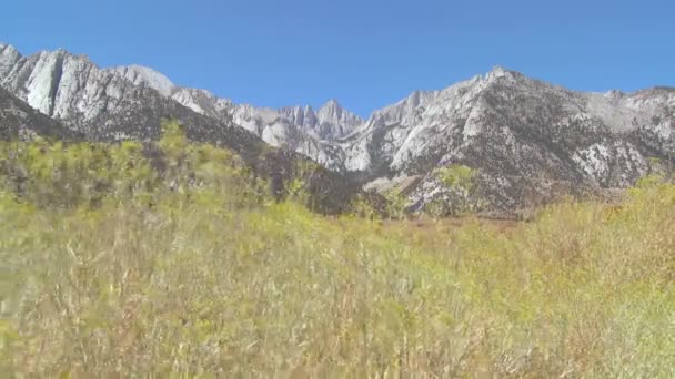 Brush blows in front of Mt. Whitney — Stock Video