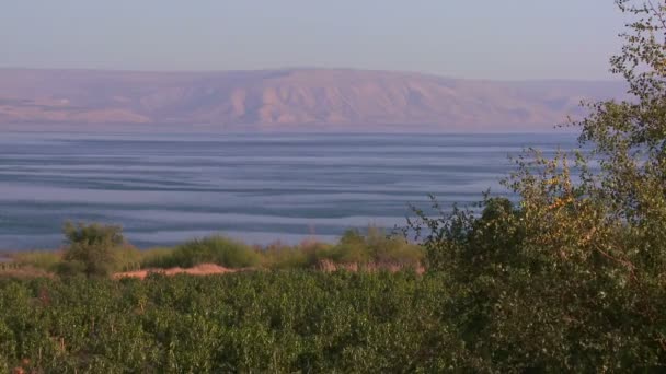 Mar de Galilea en Israel — Vídeos de Stock