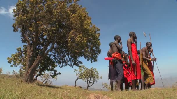 Massai-Krieger führen einen rituellen Tanz auf — Stockvideo