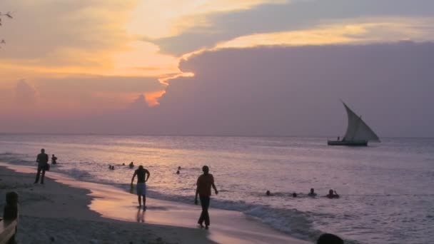 Dhow barca a vela naviga lungo la spiaggia — Video Stock