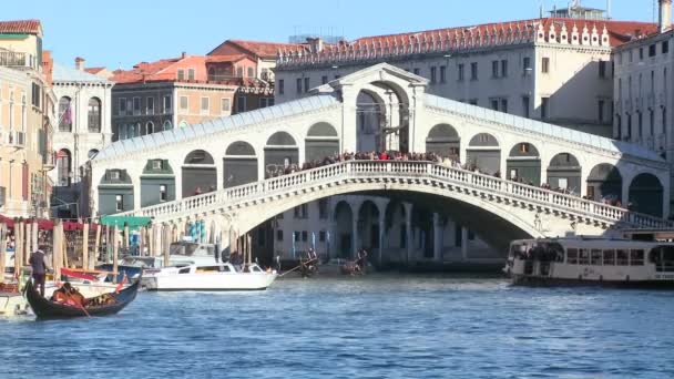 De Rialtobrug in Venetië — Stockvideo