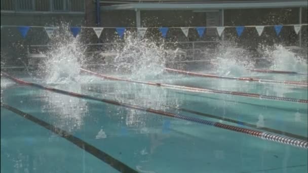 Las mujeres compiten en una competición de natación — Vídeos de Stock